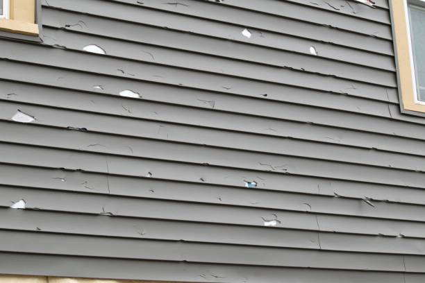 Best Historical Building Siding Restoration  in Montrose, VA